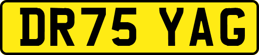 DR75YAG
