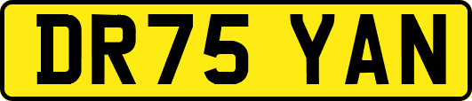 DR75YAN