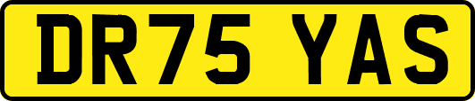 DR75YAS