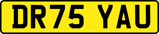 DR75YAU