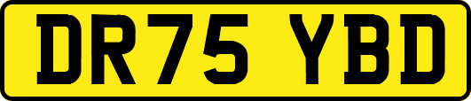 DR75YBD