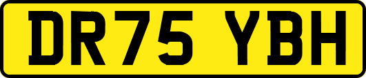DR75YBH