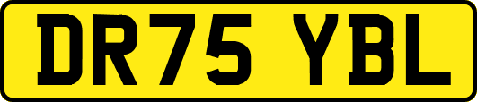DR75YBL