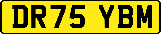 DR75YBM