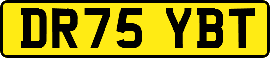 DR75YBT