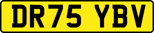 DR75YBV