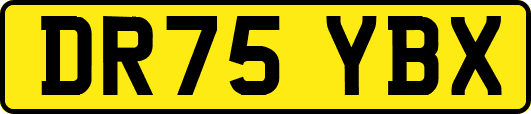 DR75YBX
