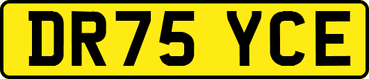 DR75YCE