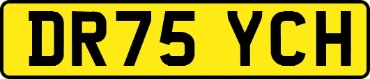 DR75YCH