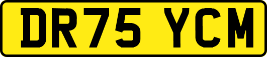 DR75YCM