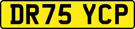 DR75YCP