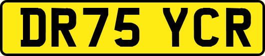 DR75YCR