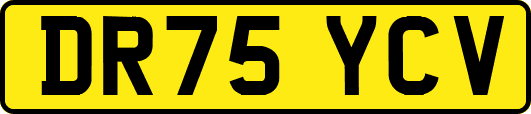 DR75YCV