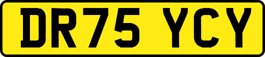 DR75YCY