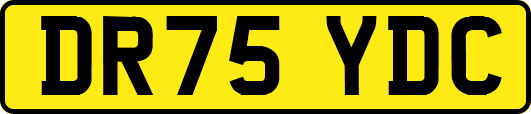 DR75YDC