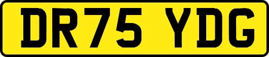 DR75YDG