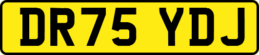 DR75YDJ