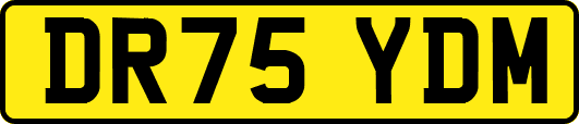 DR75YDM