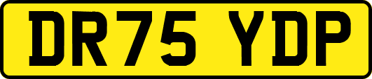 DR75YDP