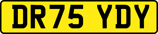 DR75YDY