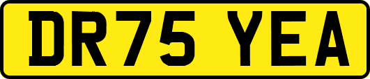 DR75YEA