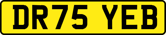DR75YEB