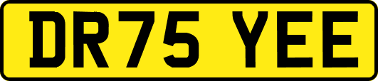 DR75YEE