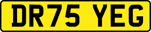 DR75YEG