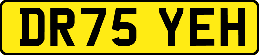 DR75YEH