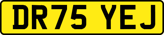 DR75YEJ