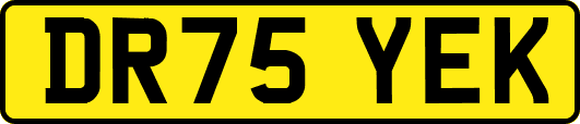 DR75YEK