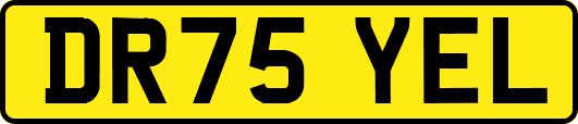 DR75YEL
