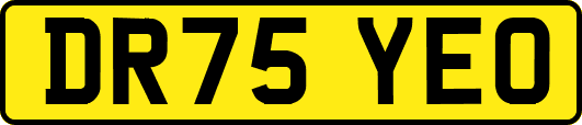 DR75YEO