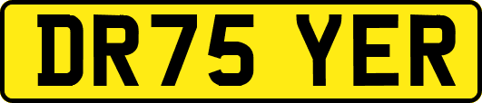 DR75YER