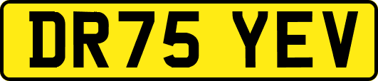 DR75YEV