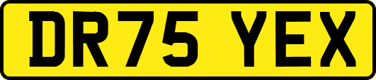 DR75YEX