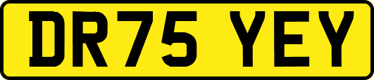 DR75YEY