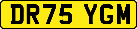 DR75YGM