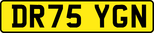 DR75YGN