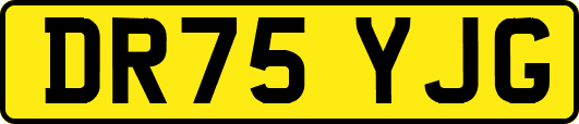 DR75YJG