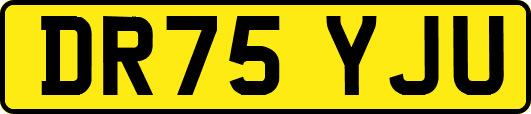 DR75YJU