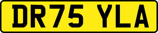 DR75YLA