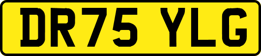 DR75YLG