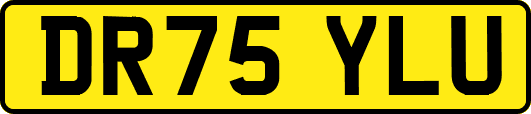 DR75YLU