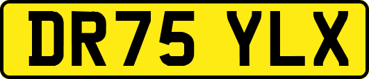DR75YLX