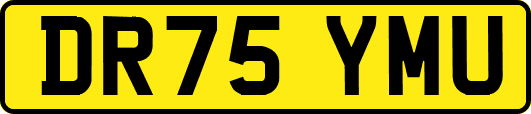 DR75YMU