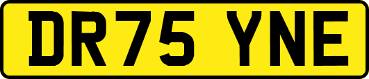 DR75YNE