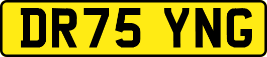 DR75YNG