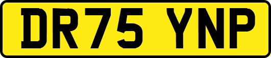 DR75YNP