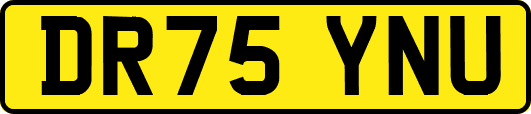 DR75YNU